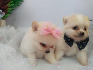 IMG_20230124_112951368