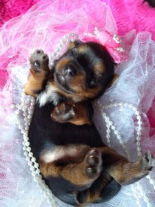 IMG_20230207_122603549