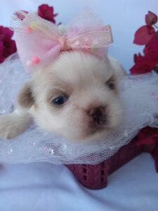 IMG_20230215_135535670