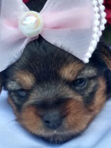 IMG_20230215_141927962_HDR(1)