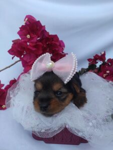 IMG_20230215_142325099