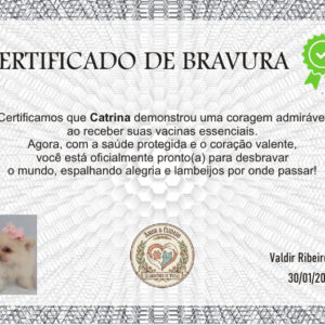 🏅 Certificado de Bravura – Porque ele foi um Superpet! ( Download PDF Gratuito )