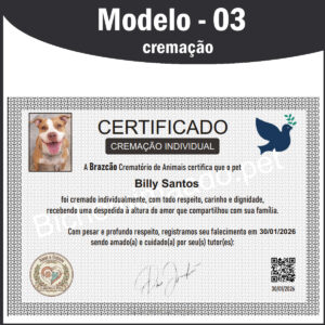 mod-3-cremacao
