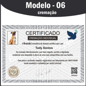 mod-6-cremacao