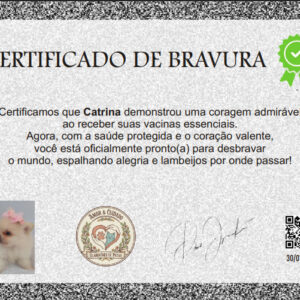 🏅 Certificado de Bravura Premium – Personalizado e Eternizado