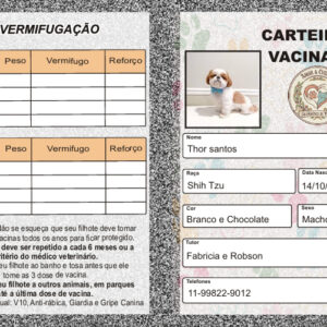 🏆 Carteira de Vacinação Digital – (Download PDF)