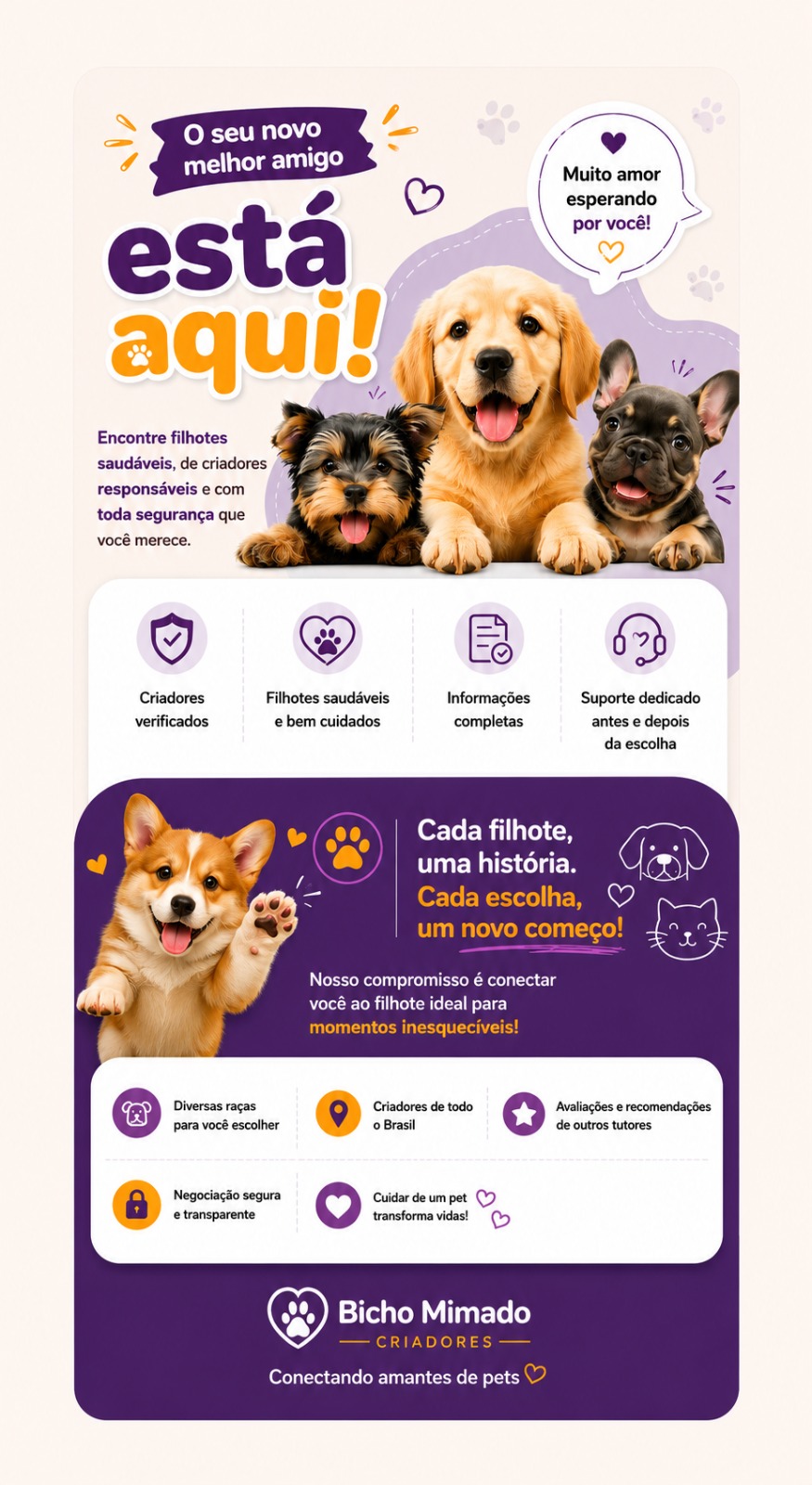 vendafilhotes-bichomimadopet
