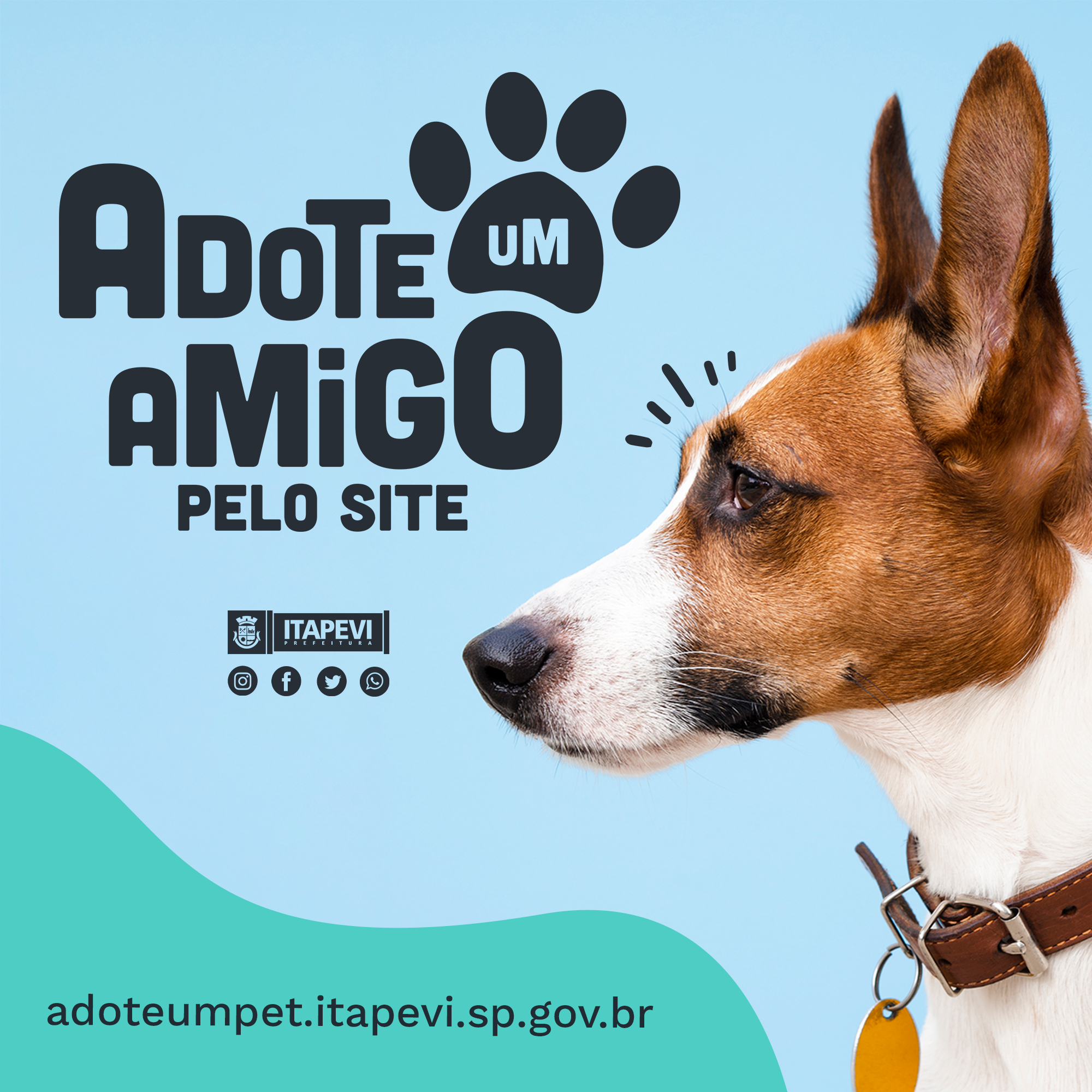 Adote-um-Pet-Itapevi-3